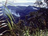 Новая Каледония (горящий лес)