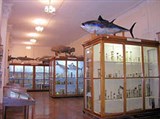 Одесский университет (зоологический музей)