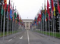 Организация объединенных наций (ООН) (Европейская штаб-квартира)