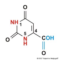 Оротовая кислота (витамин B(13))