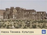 Пальмира (видео)