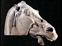 Парфенон (голова коня)