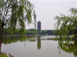 Пекинский университет (пагода)