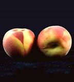 Персик (плоды)