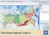 Россия (землетрясения, интерактивная карта)