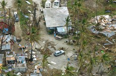 Рота остров после тайфуна Понгсона (2002)