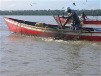 Рыбный промысел (Суринам)