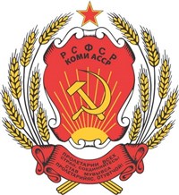 СОСНОГОРСК (флаг)