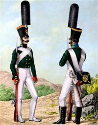 Семеновский полк (1808 год)