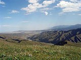 Синьцзян-уйгурский автономный район (Наньшаньские альпийские луга)