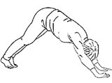 Система Шаталовой (движение) (суставная гимнастика)