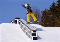 Слоупстайл (Burton US Open Snowboarding-2010)