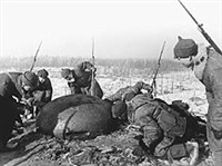 Советско-финляндская война (у финского дота)