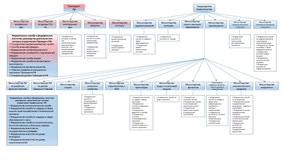 Структура федеральных органов исполнительной власти РФ