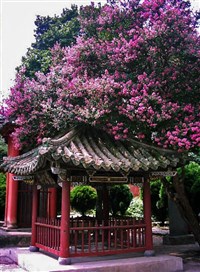 Сычуань (храм Баоэнь)