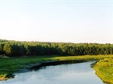 Тверская область (река Тверца)