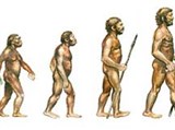 Темпы эволюции