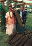 Тонганцы выращивают ямс (1986)