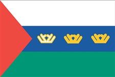 Тюменская область (флаг)