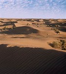Узбекистан (пустыня Кызылкум)