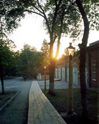 Ульяновск (тротуар на ул. Ленина)