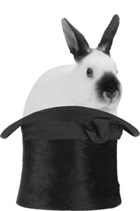 ФОКУС (кролик в шляпе)