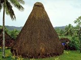 Фиджийцы (традиционное жилище)