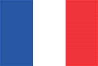 Франция (государственный флаг)