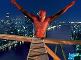 Человек-паук (над ночным городом)