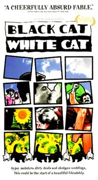 Черная кошка, белый кот (постер)