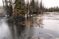 Экология (разлив нефти)