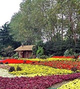Янчжоу (цветущий сад)