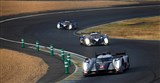 24 часа Ле Мана (2011)