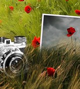 Acer n50 (общий вид)