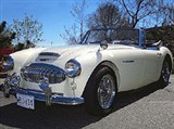 Austin Healey 3000. 1960