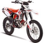 Beta (Betamotor RR Enduro 2T)