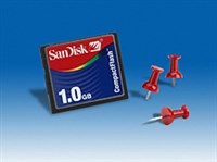 Compactflash (1 Гб)