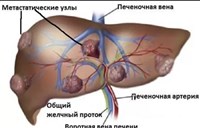 media7483748578447489